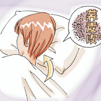 了解枕头的内在本质,基础填充篇