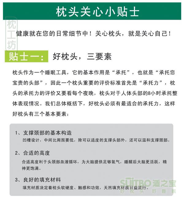 www.zhentou.com
