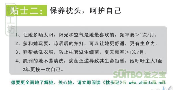 www.zhentou.com