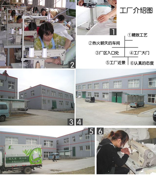 适之宝枕工坊枕工厂车间