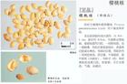 中药毒性的 之有毒中药即指此狭义之毒。 古代毒药的概念也反映出当时人们对药物的治疗作用和毒副作用还不能很好地区别。如果现在仍这样看,无疑是扩大了“有毒中药”的概念。实际上有效性和毒性是绝大多数中药和西药的药物同时具有的双重特性,关键是合理用药。