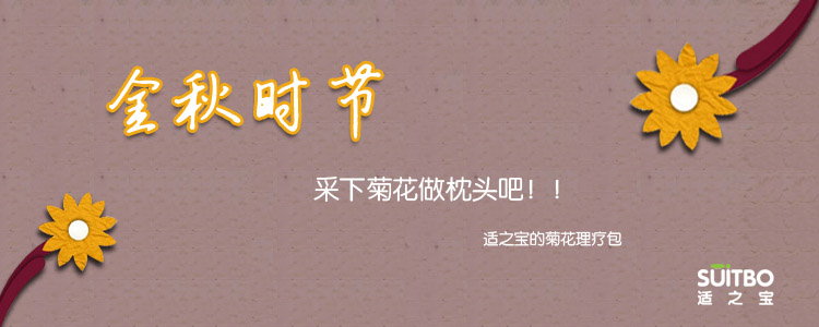 中秋送礼 关心老人健康，送爸妈健康护颈枕头 