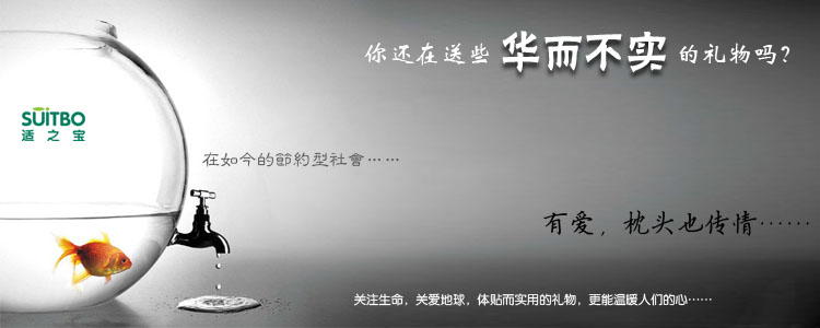  时尚礼品——适之宝3s枕头，适赠人群：年青情侣、时尚一族