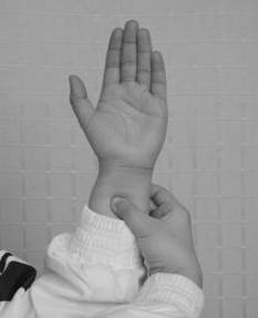 F2004040909522800000