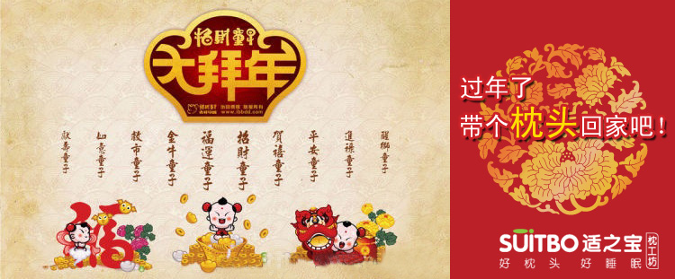 过年礼品 适之宝 过年礼品 适之宝