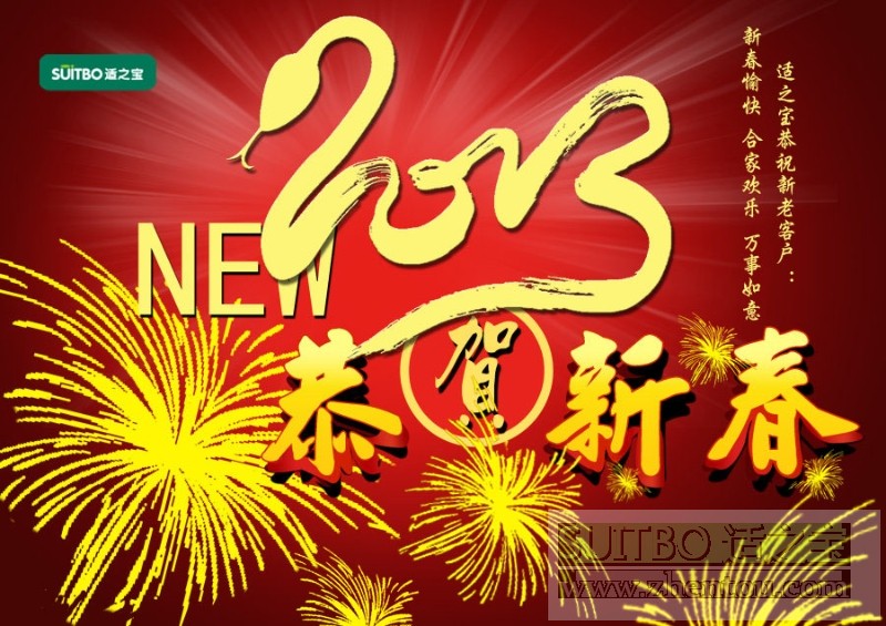 春节送礼 适之宝枕头 春节送礼 适之宝枕头
